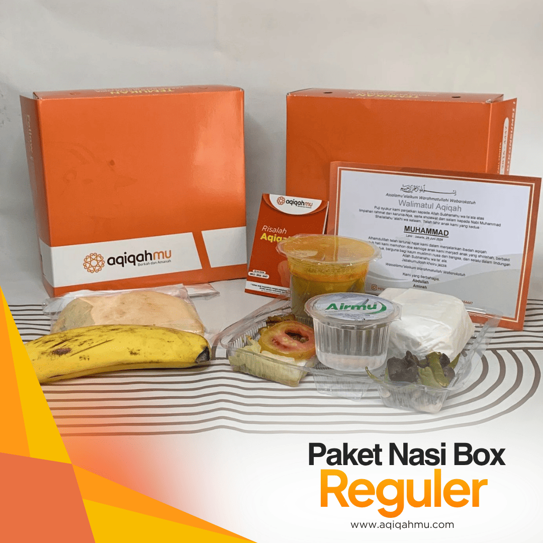 PAKET NASI BOX REGULER