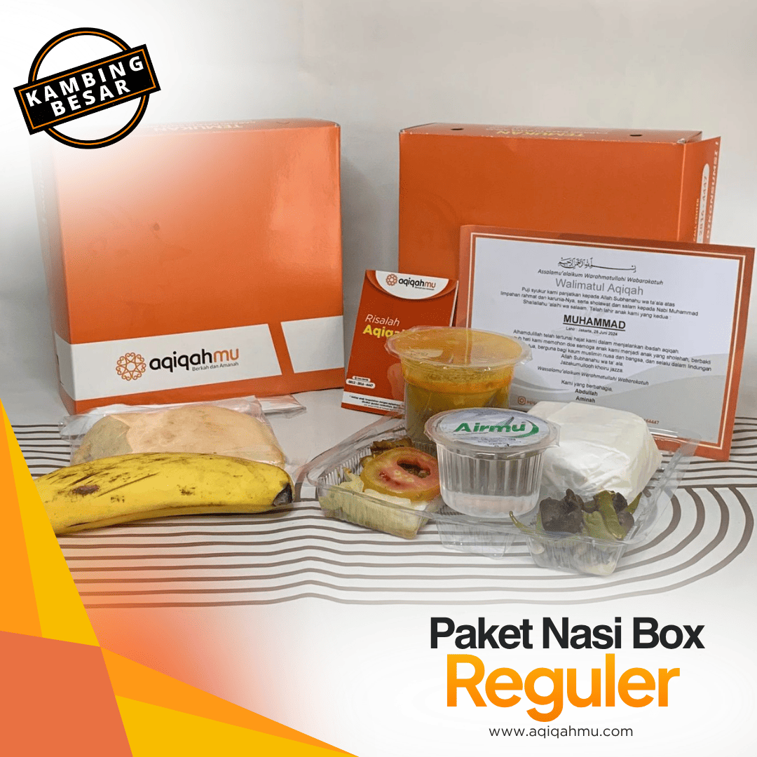 PAKET NASI BOX REGULER