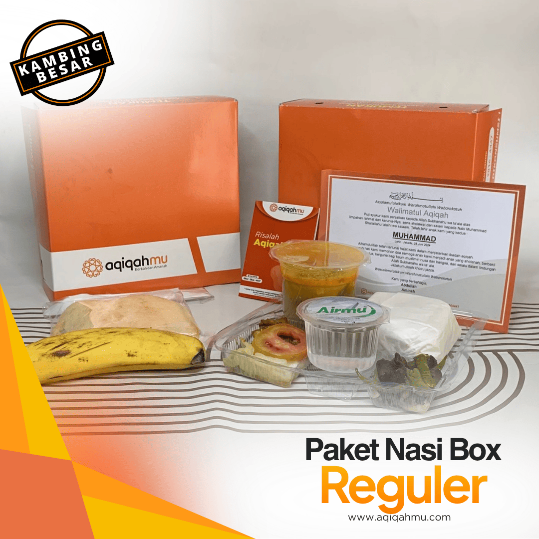 PAKET NASI BOX REGULER